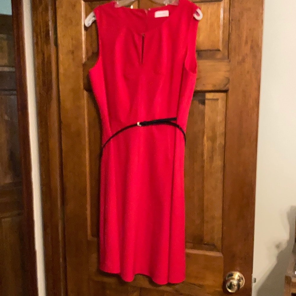 Calvin Klein Belted dress.
